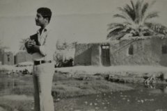 الفاو-1972